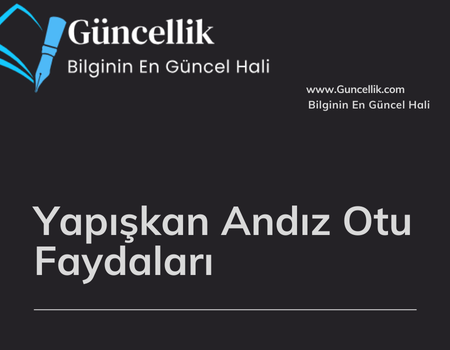 Yapışkan Andız Otu Faydaları